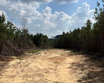 52 Acre Homesite Madison County Camden, MS
