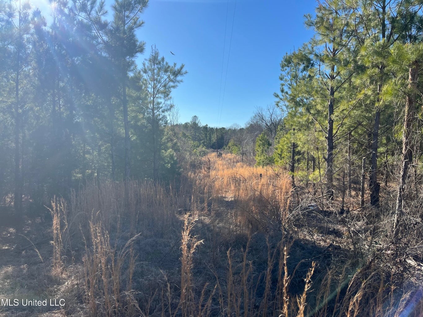 Great Homesite and Hunting Tract in Hermanville, MS