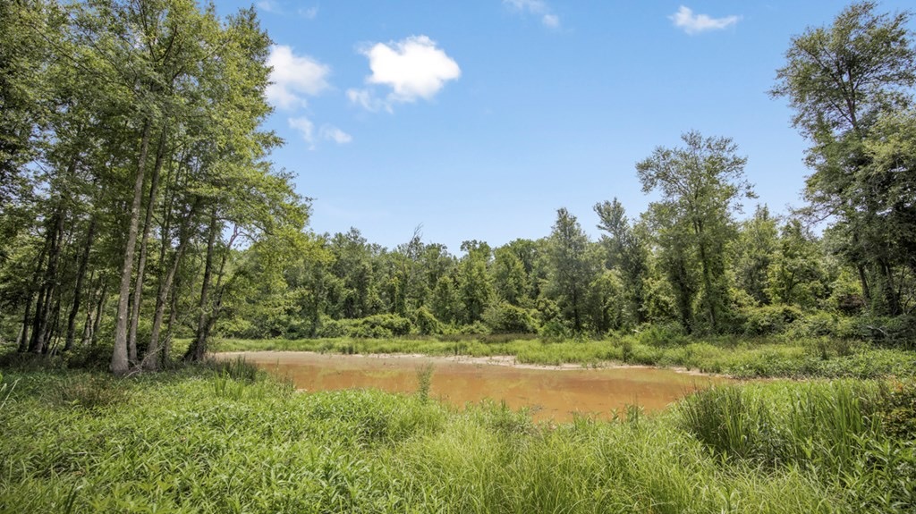 345 Acres with Camp, Creek bordering National Forest in SWMS