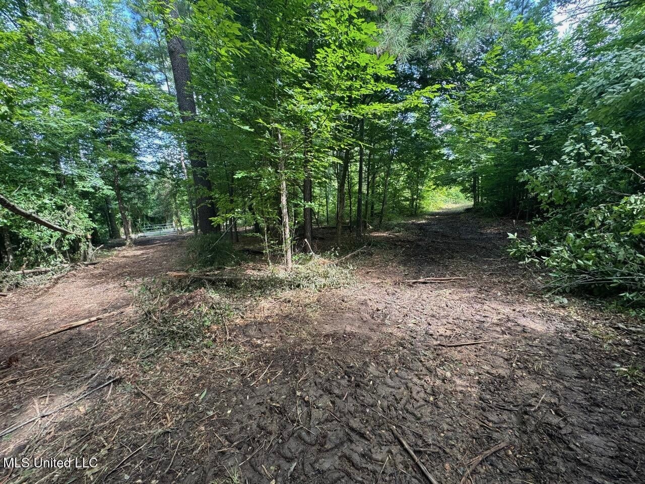 28+- Acres for Sale in Natchez, MS