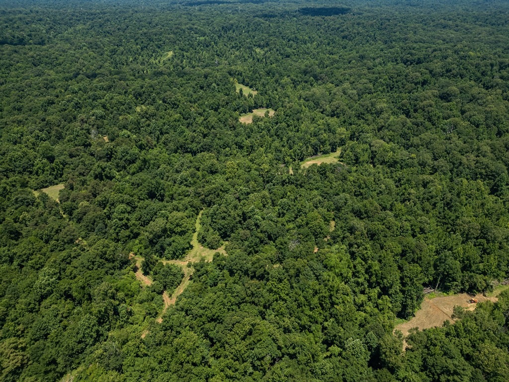 Hunting Land in Claiborne County, MS – Lonesome Pine