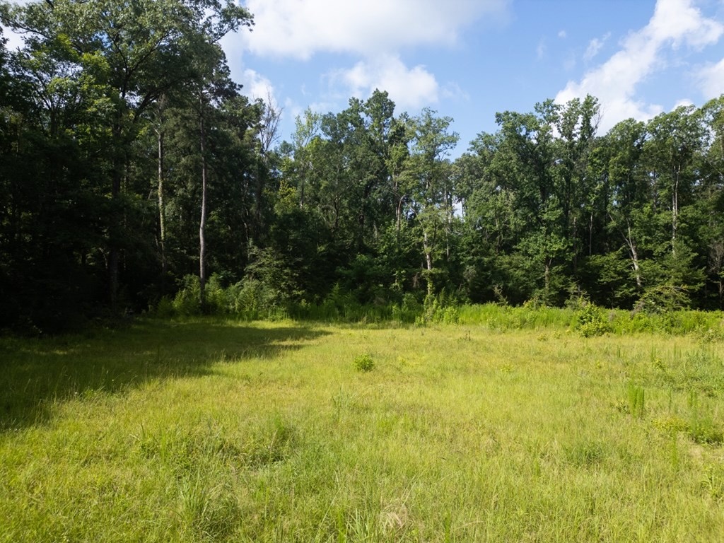 Clinton 30 Acres for Sale – Rural Land Near Baton Rouge, LA