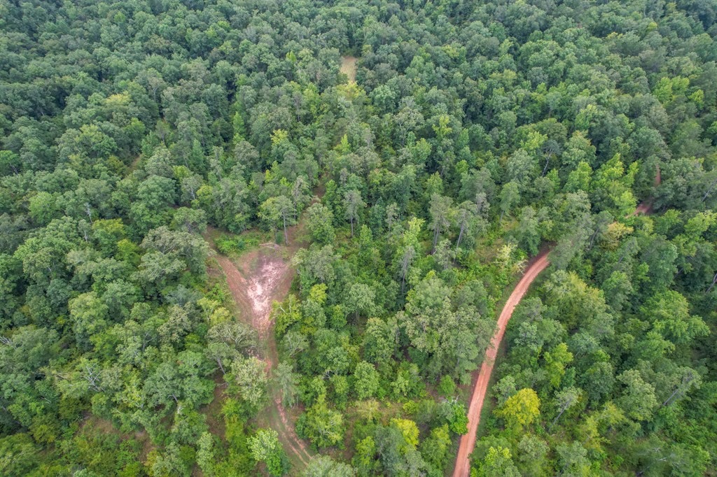 Hunting Land for Sale in Hinds County, MS