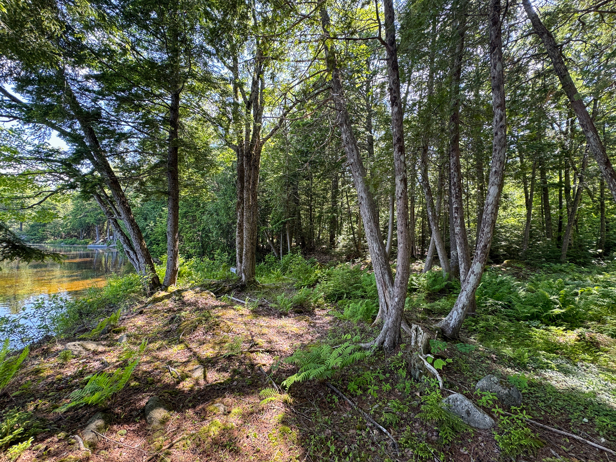 Lakefront Land for Sale – 12.52 Acres with 355 Feet of Shoreline