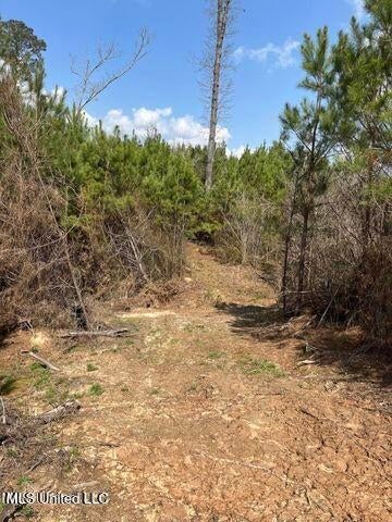 52 Acre Homesite Madison County Camden, MS