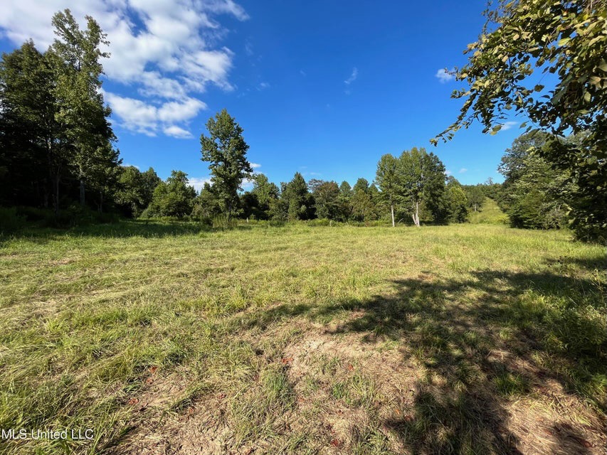 60 Acres For Sale In Yazoo County, MS