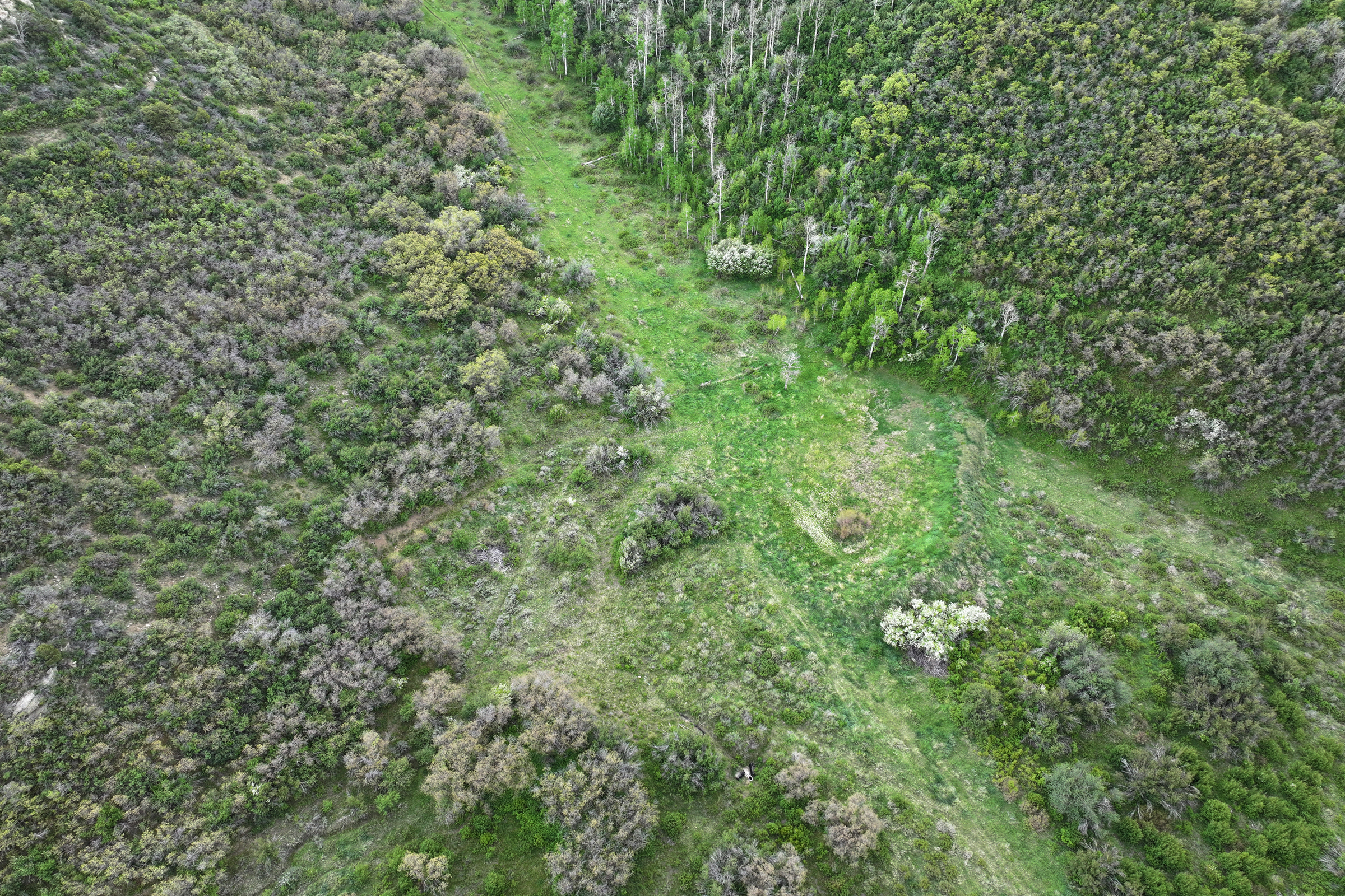 Colorado Recreation and Hunting Property