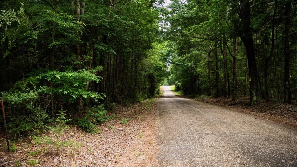 Hunting Land Near Homochitto National Forest, MS