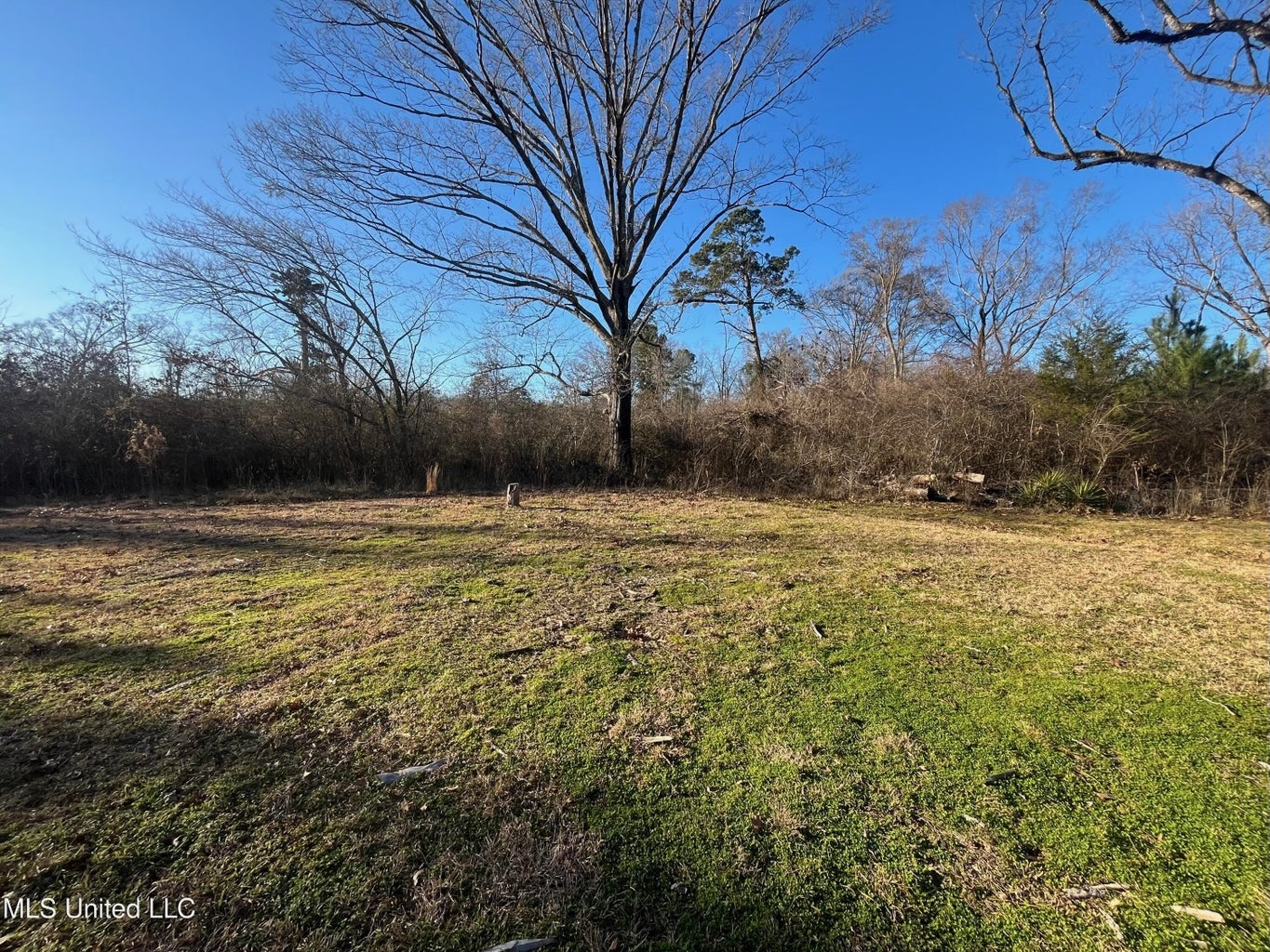 Great Homesite and Hunting Tract in Hermanville, MS