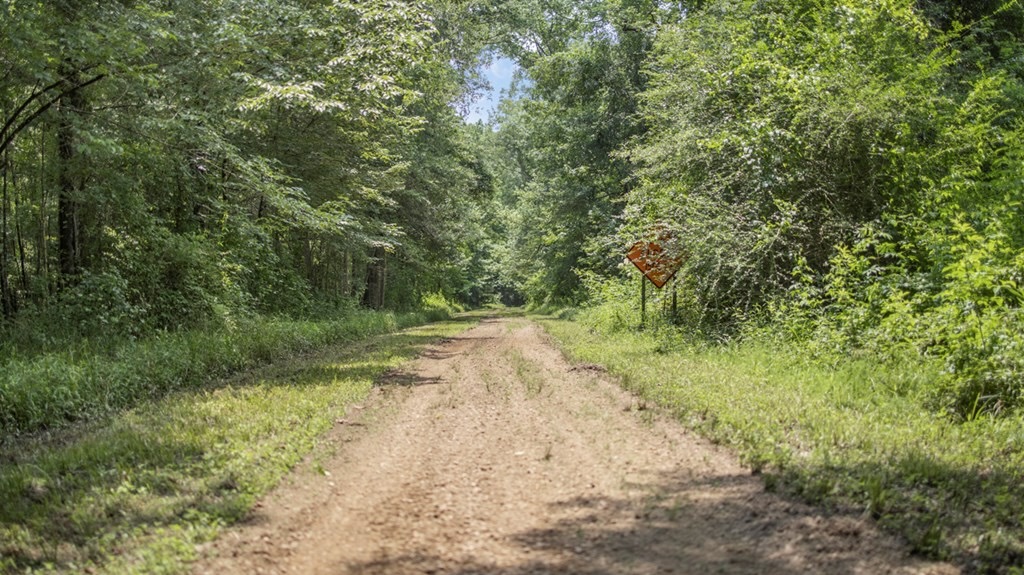345 Acres with Camp, Creek bordering National Forest in SWMS