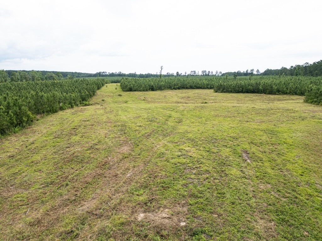 Mississippi Hunting Land – Easy 88 in Magnolia/Osyka