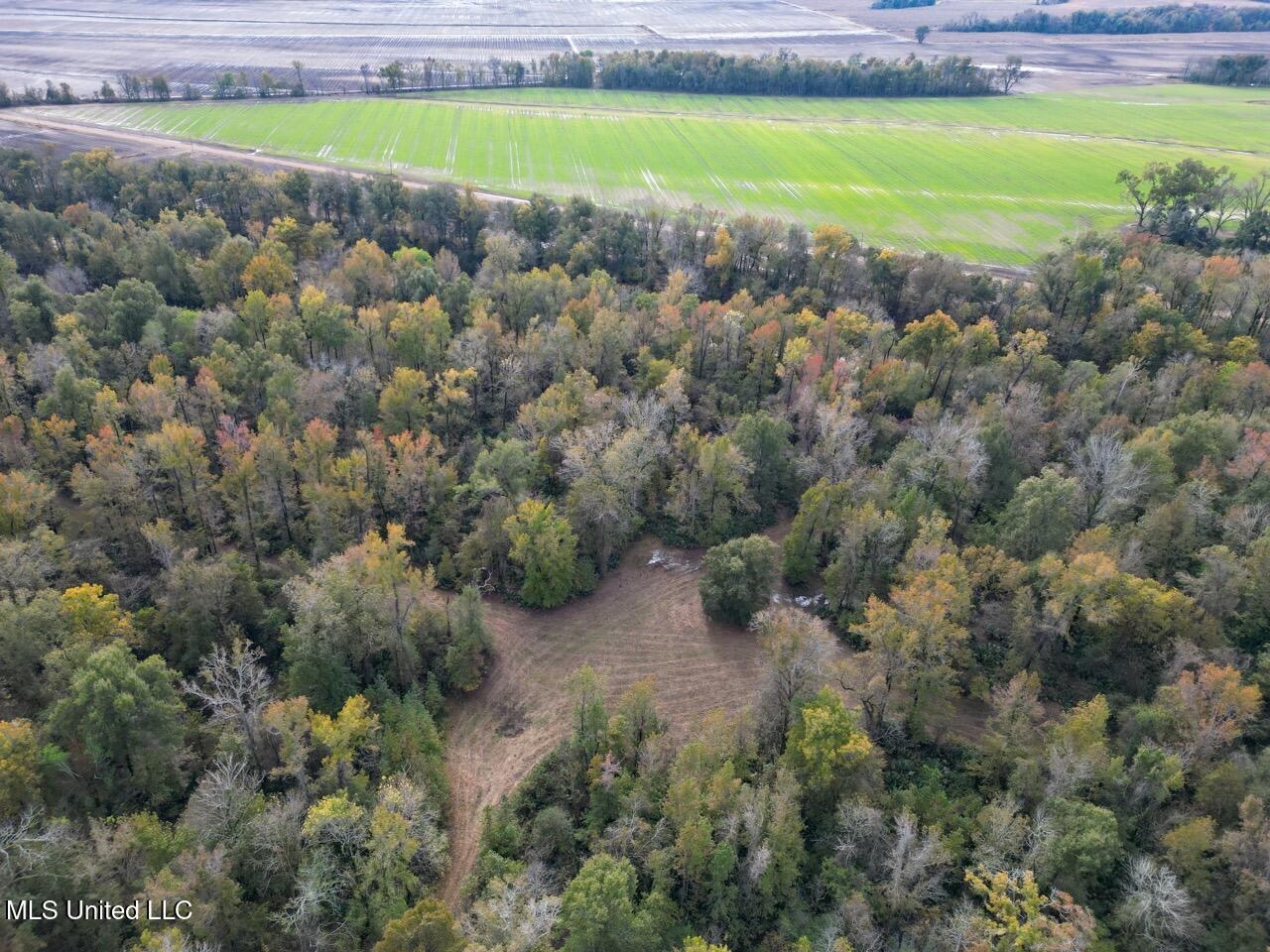 Tensas Parish LA – The Glade Hunting Property
