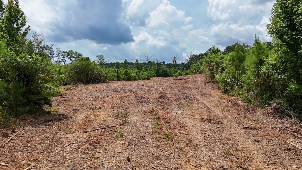 Small Hunting Tract FOR SALE in Amite County, MS