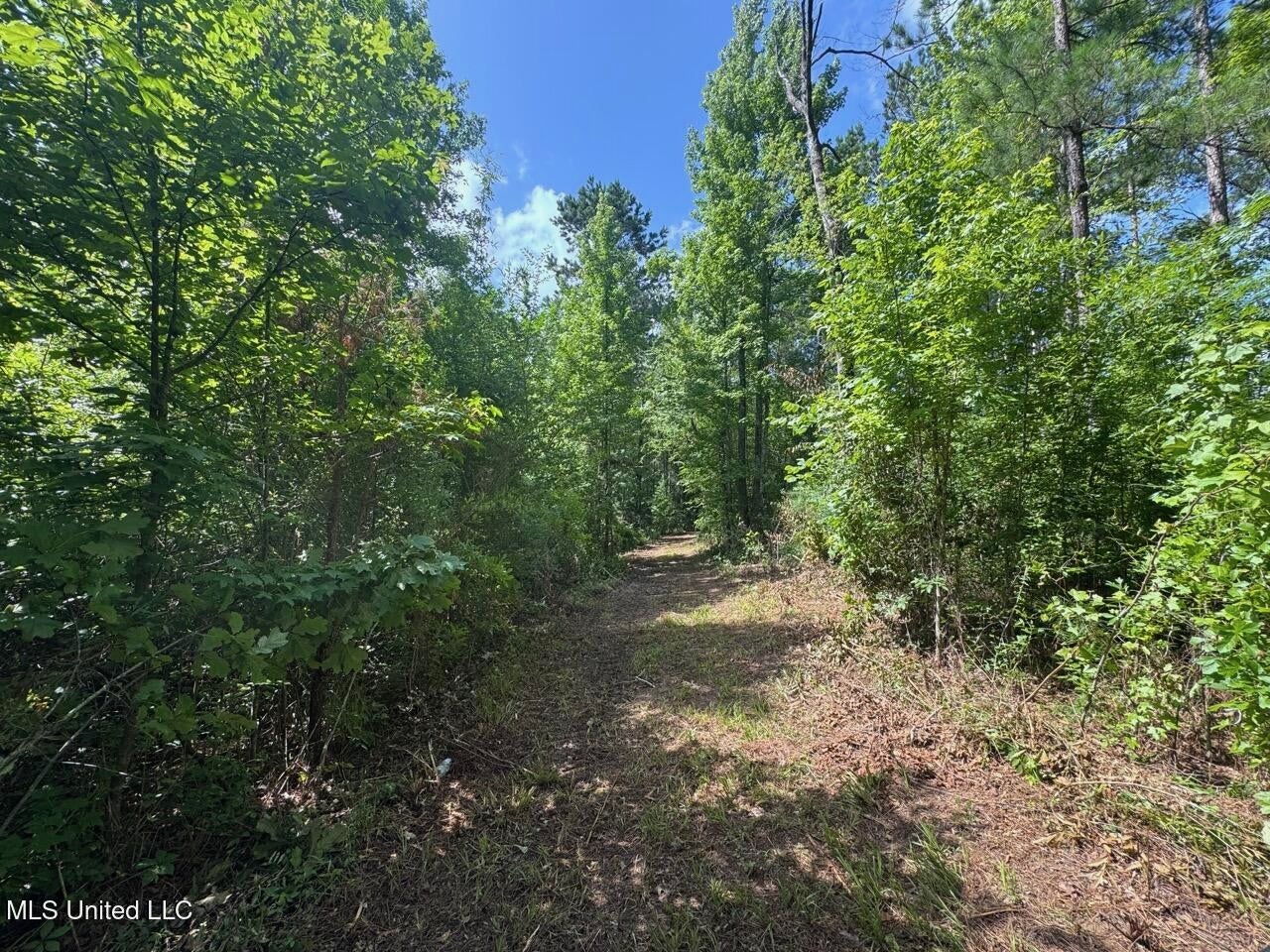28+- Acres for Sale in Natchez, MS
