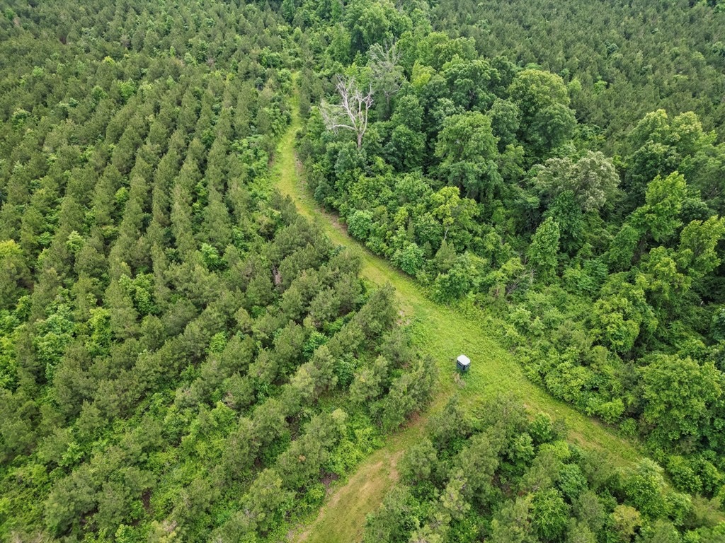Hunting Land in Morehouse Parish, LA – Cypress Bayou 85
