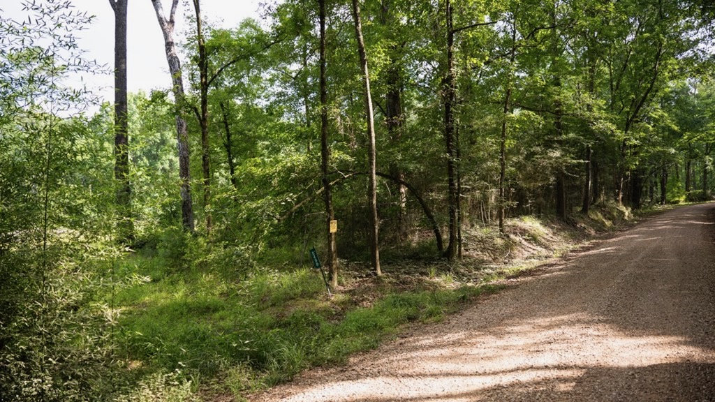 Clinton 30 Acres for Sale – Rural Land Near Baton Rouge, LA