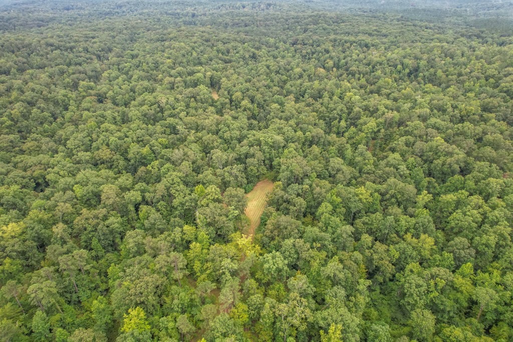 Hunting Land for Sale in Hinds County, MS