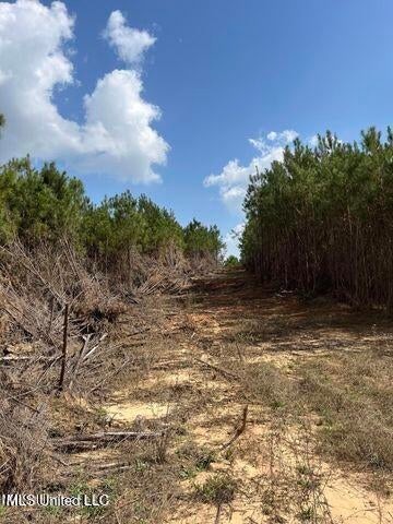 52 Acre Homesite Madison County Camden, MS