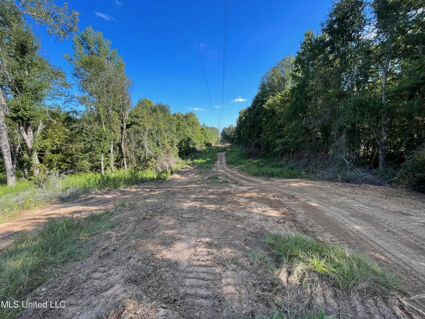 60 Acres For Sale In Yazoo County, MS