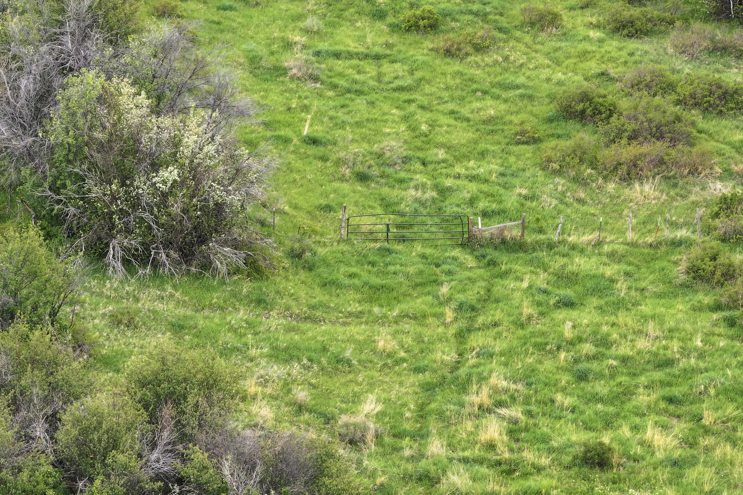 Colorado Recreation and Hunting Property
