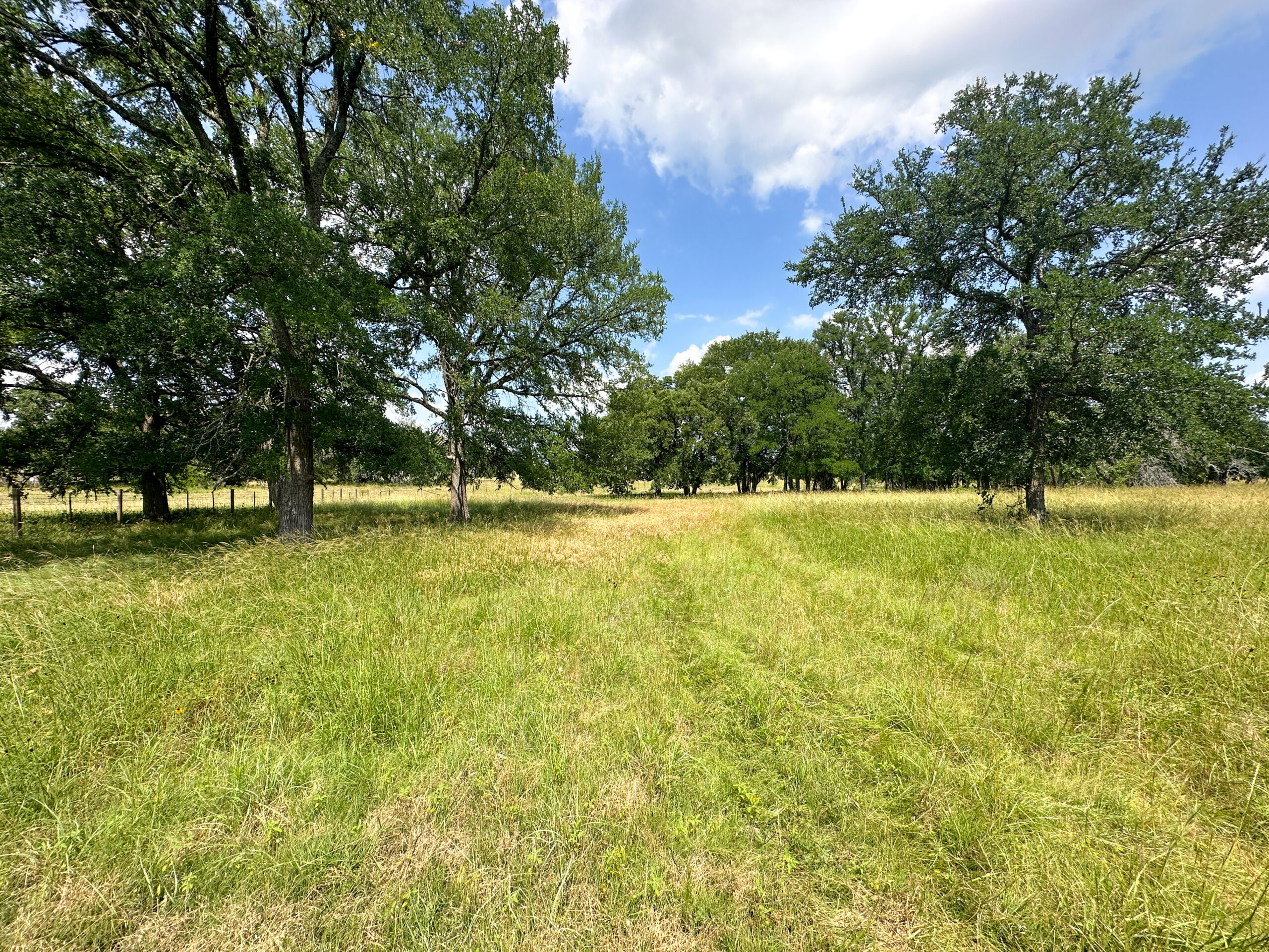 Own a Stunning Piece of Central Texas Land – Build, Hunt, or Escape