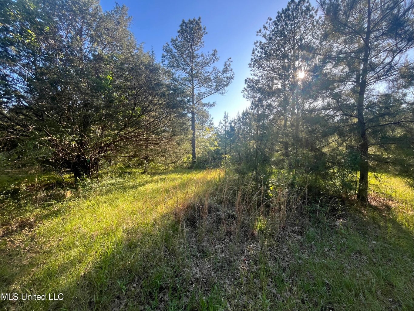 Great Homesite and Hunting Tract in Hermanville, MS