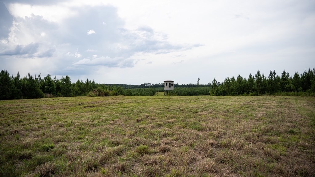 Mississippi Hunting Land – Easy 88 in Magnolia/Osyka