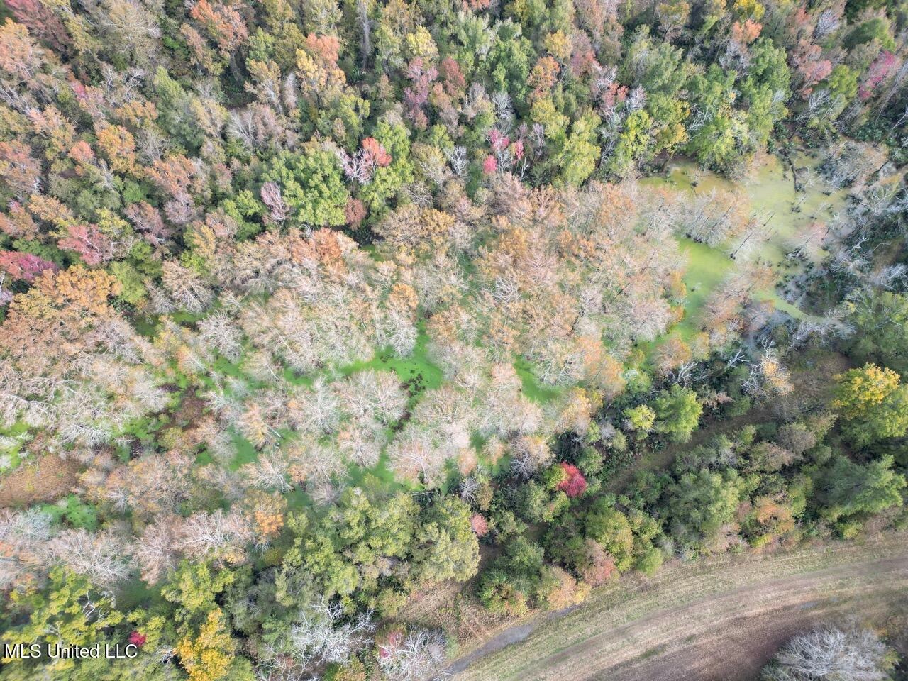 Tensas Parish LA – The Glade Hunting Property