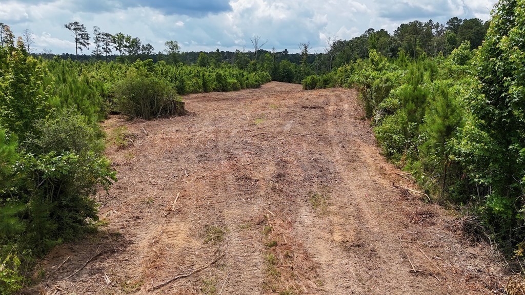 Small Hunting Tract FOR SALE in Amite County, MS