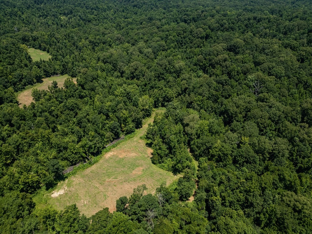 Hunting Land in Claiborne County, MS – Lonesome Pine