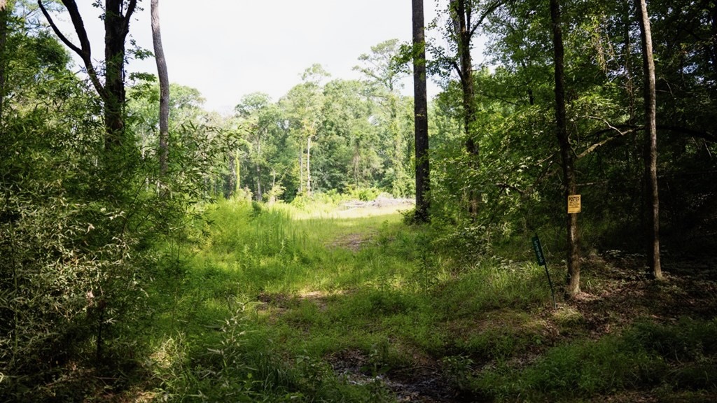 Clinton 30 Acres for Sale – Rural Land Near Baton Rouge, LA