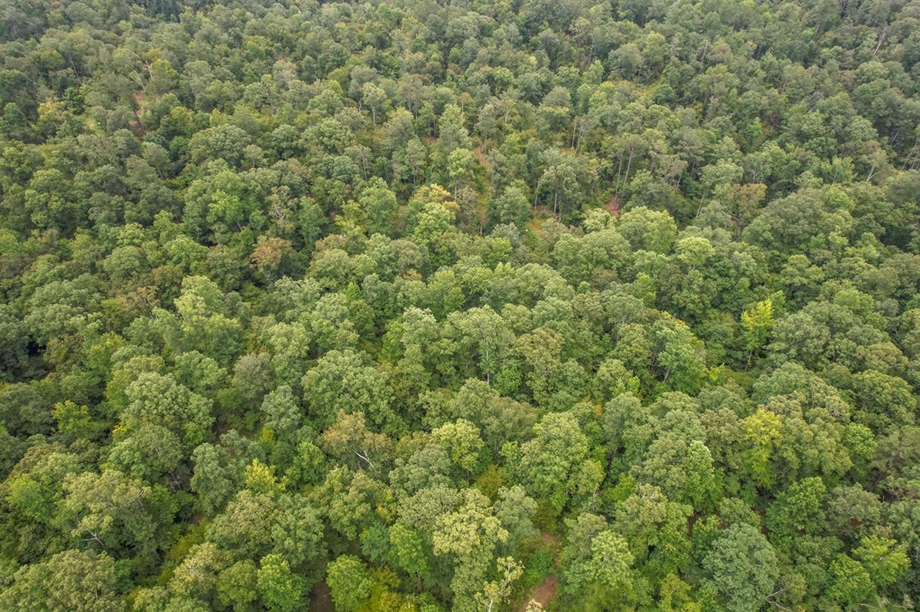Hunting Land for Sale in Hinds County, MS