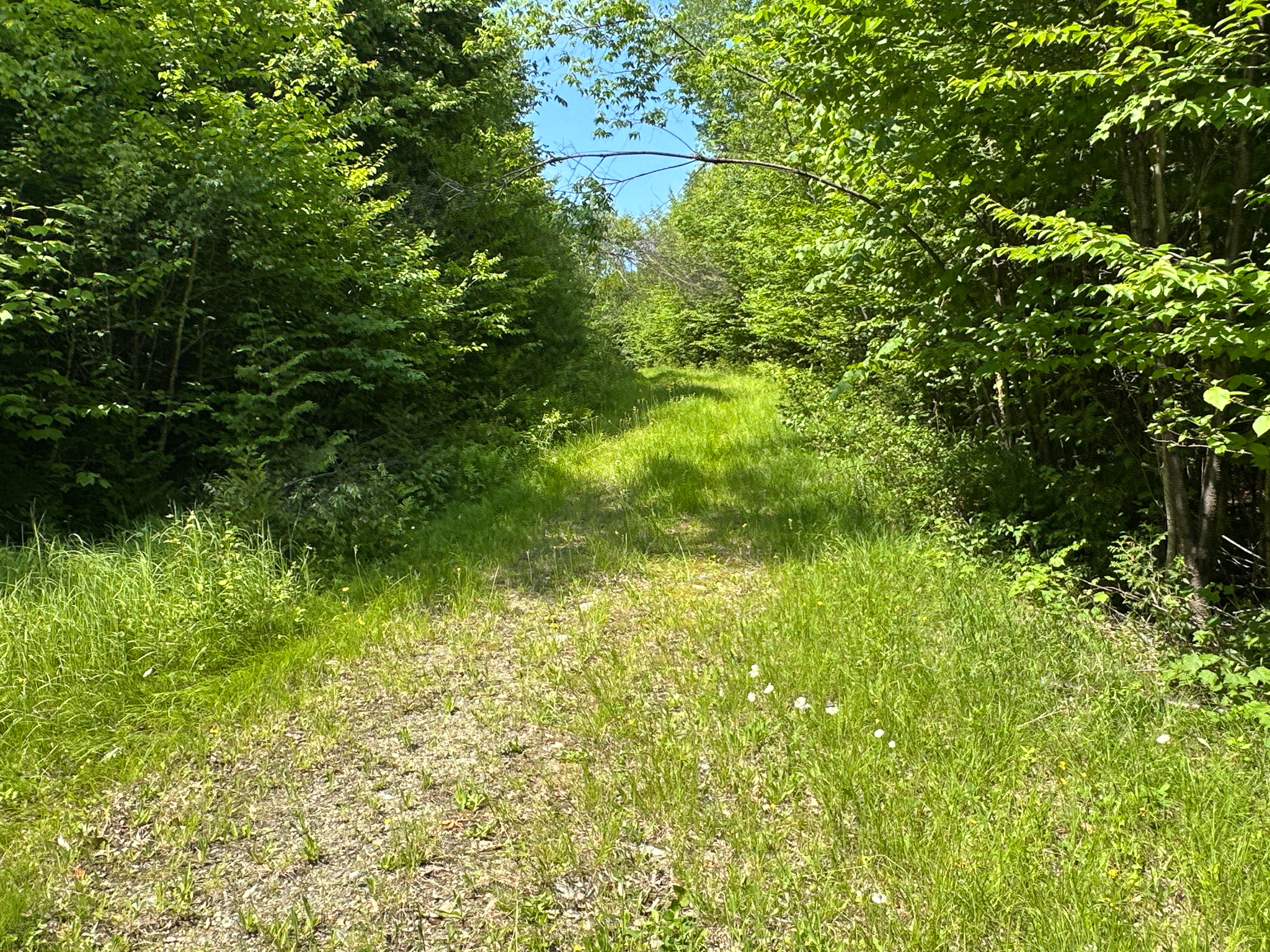 Lakefront Land for Sale – 12.52 Acres with 355 Feet of Shoreline