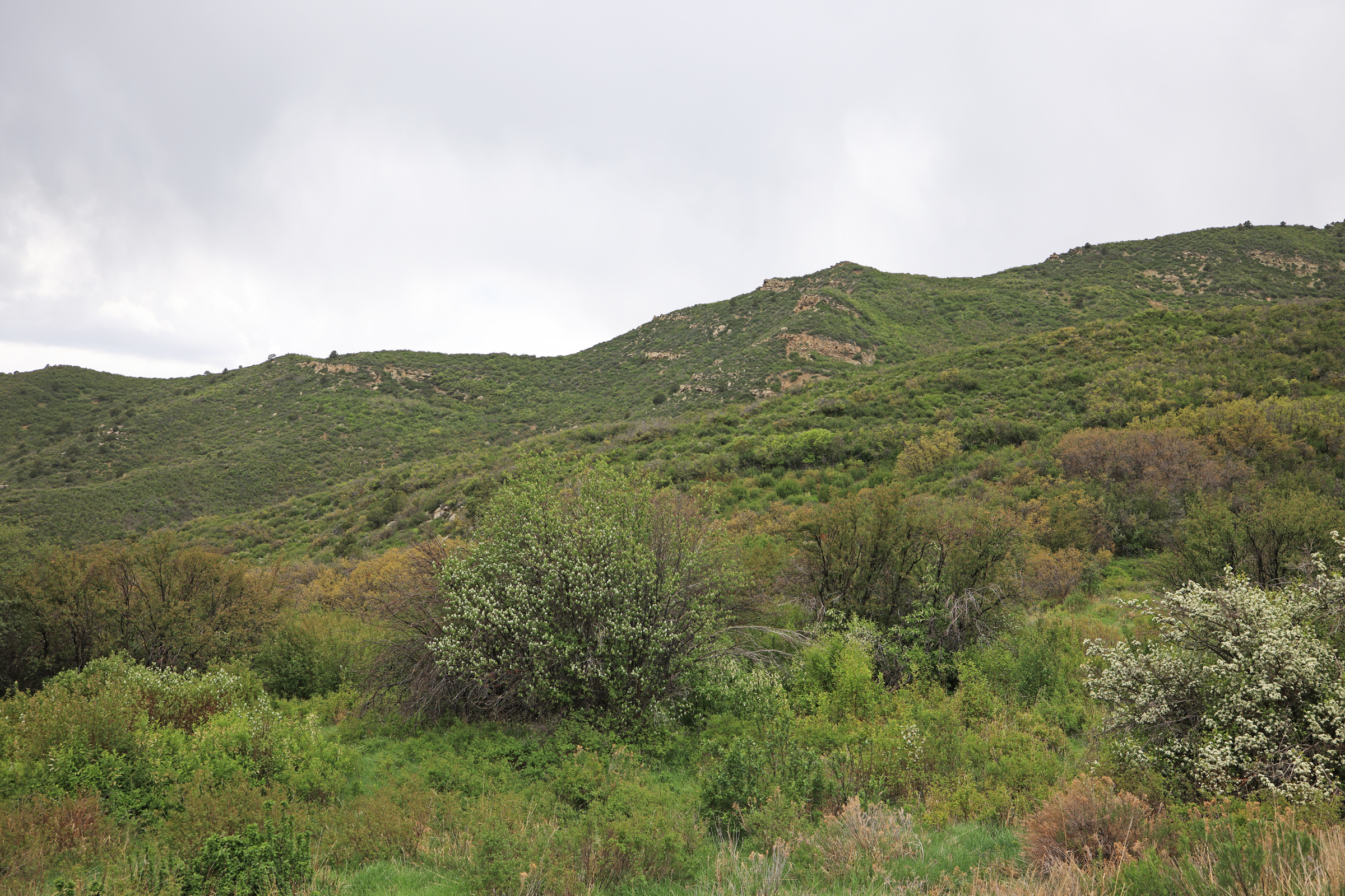 Colorado Recreation and Hunting Property