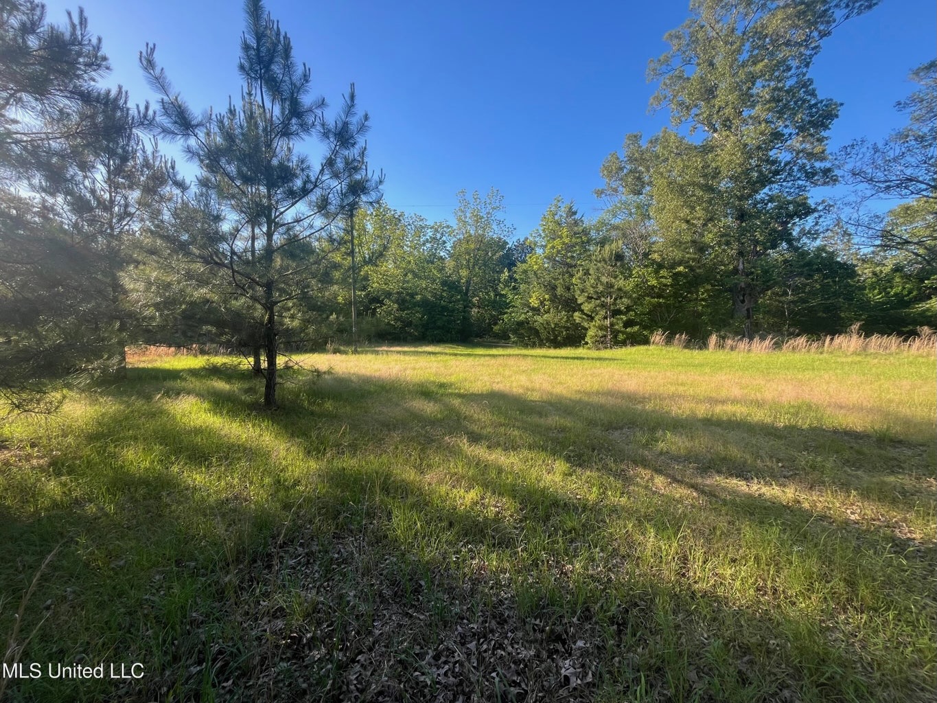 Great Homesite and Hunting Tract in Hermanville, MS