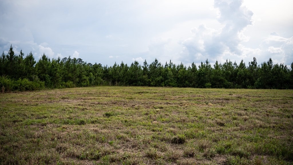 Mississippi Hunting Land – Easy 88 in Magnolia/Osyka
