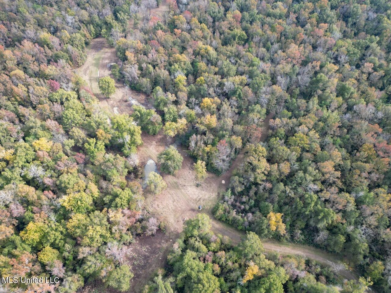 Tensas Parish LA – The Glade Hunting Property