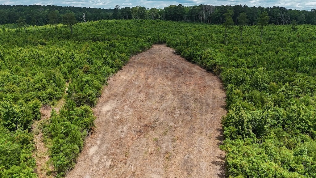 Small Hunting Tract FOR SALE in Amite County, MS