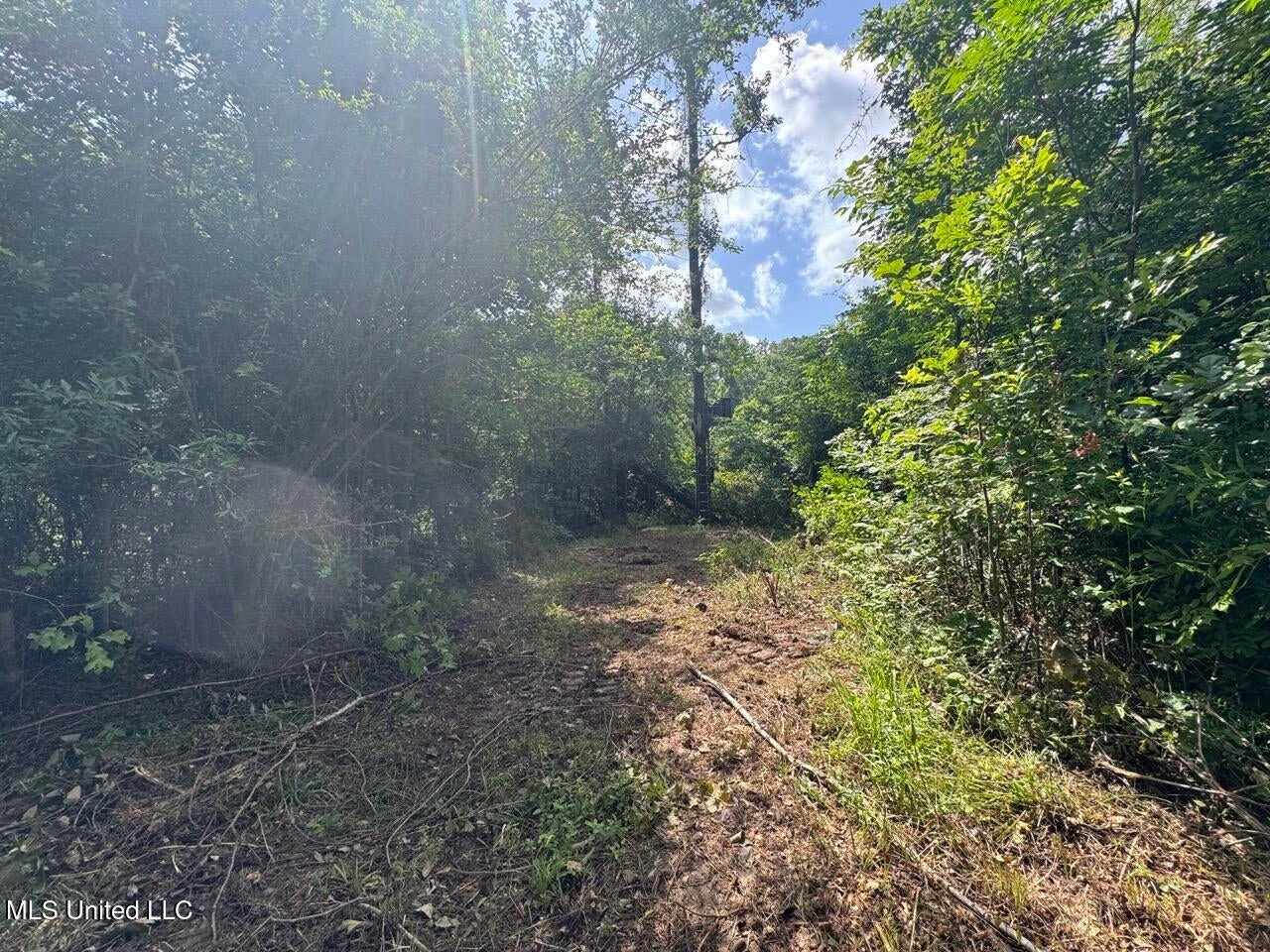 28+- Acres for Sale in Natchez, MS