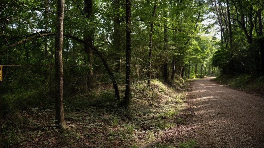 Clinton 30 Acres for Sale – Rural Land Near Baton Rouge, LA