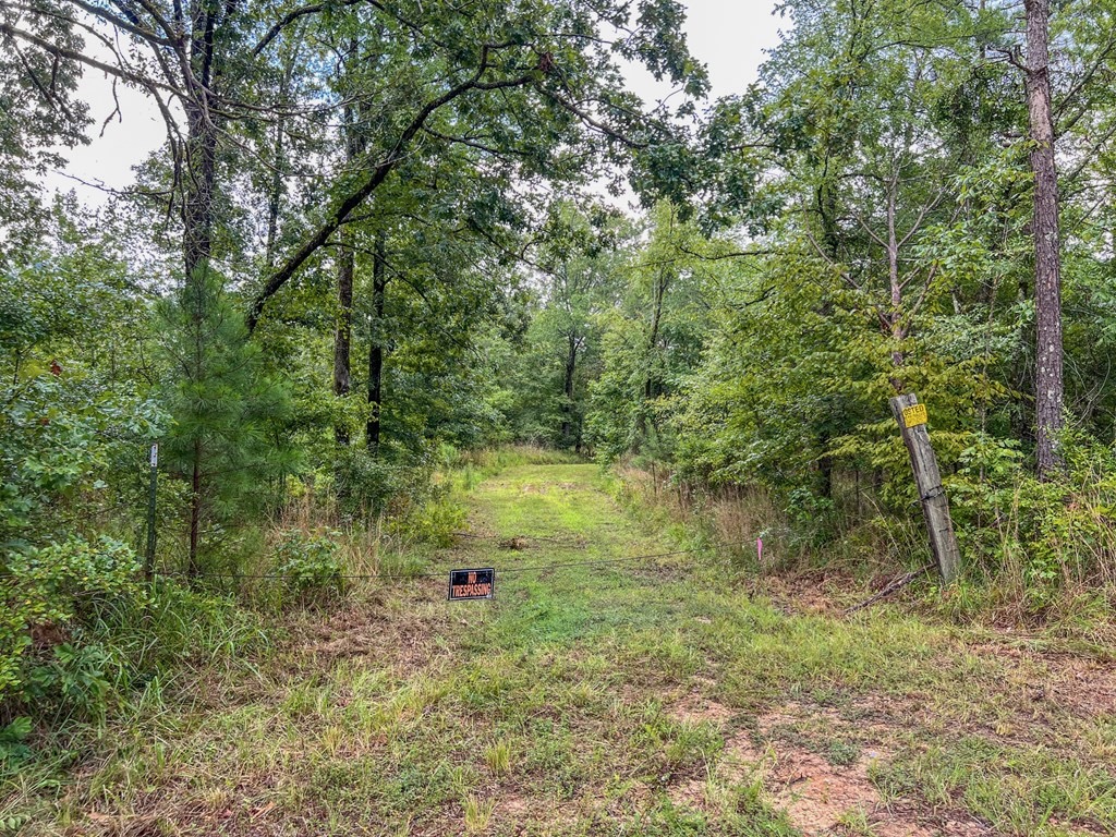 Hunting Land for Sale in Hinds County, MS