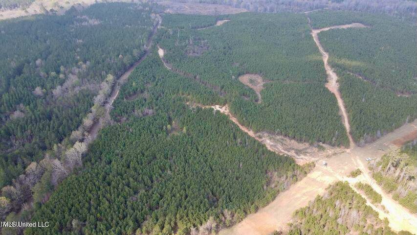 52 Acre Homesite Madison County Camden, MS