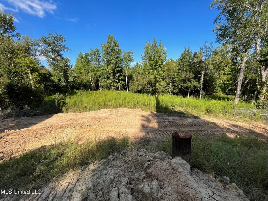 60 Acres For Sale In Yazoo County, MS