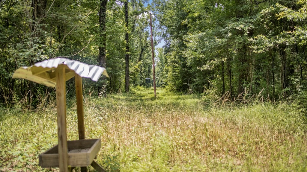 345 Acres with Camp, Creek bordering National Forest in SWMS