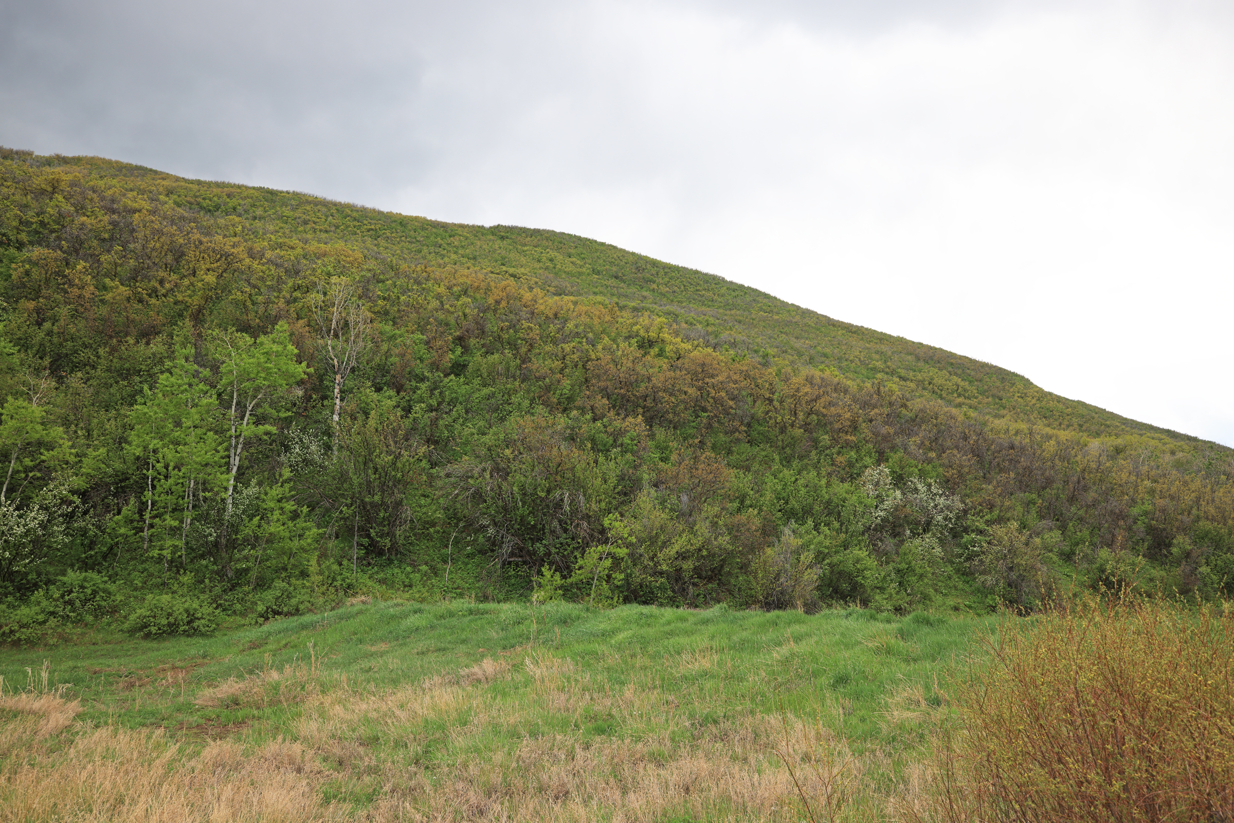 Colorado Recreation and Hunting Property