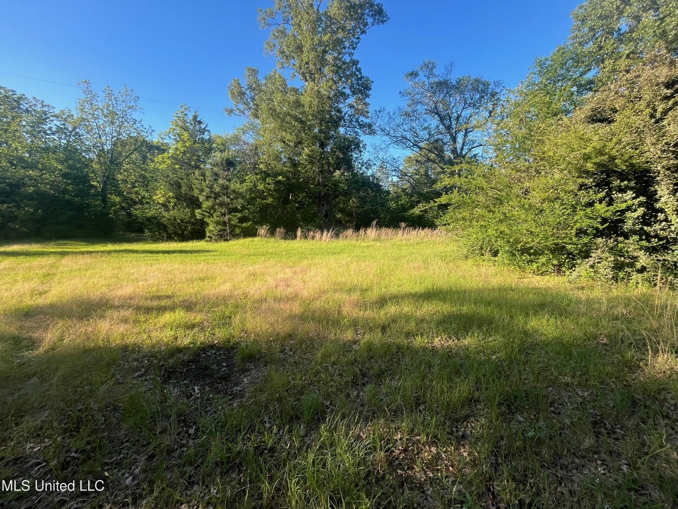 Great Homesite and Hunting Tract in Hermanville, MS