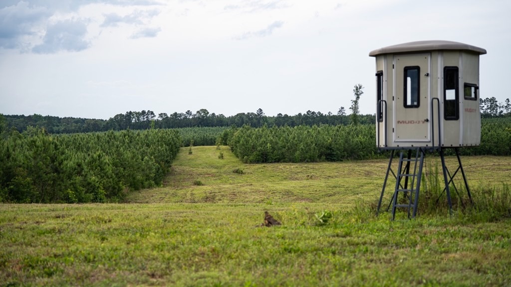 Mississippi Hunting Land – Easy 88 in Magnolia/Osyka