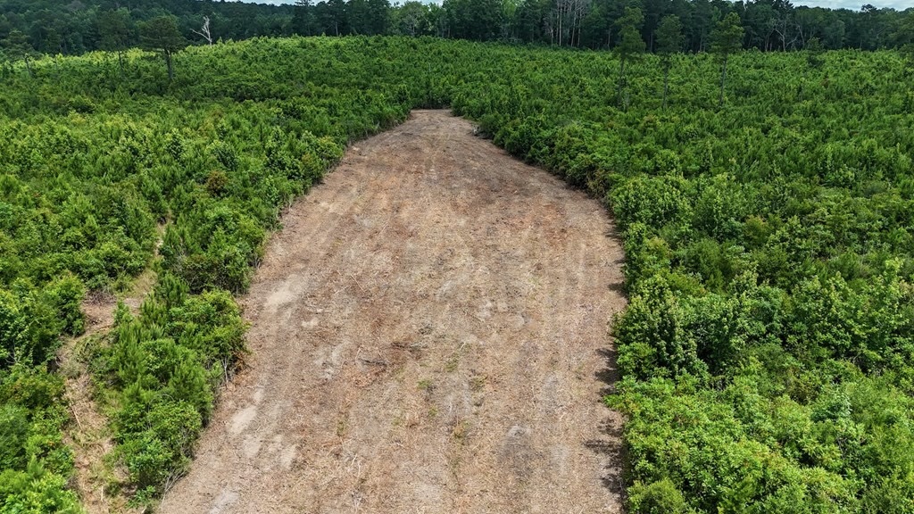 Small Hunting Tract FOR SALE in Amite County, MS