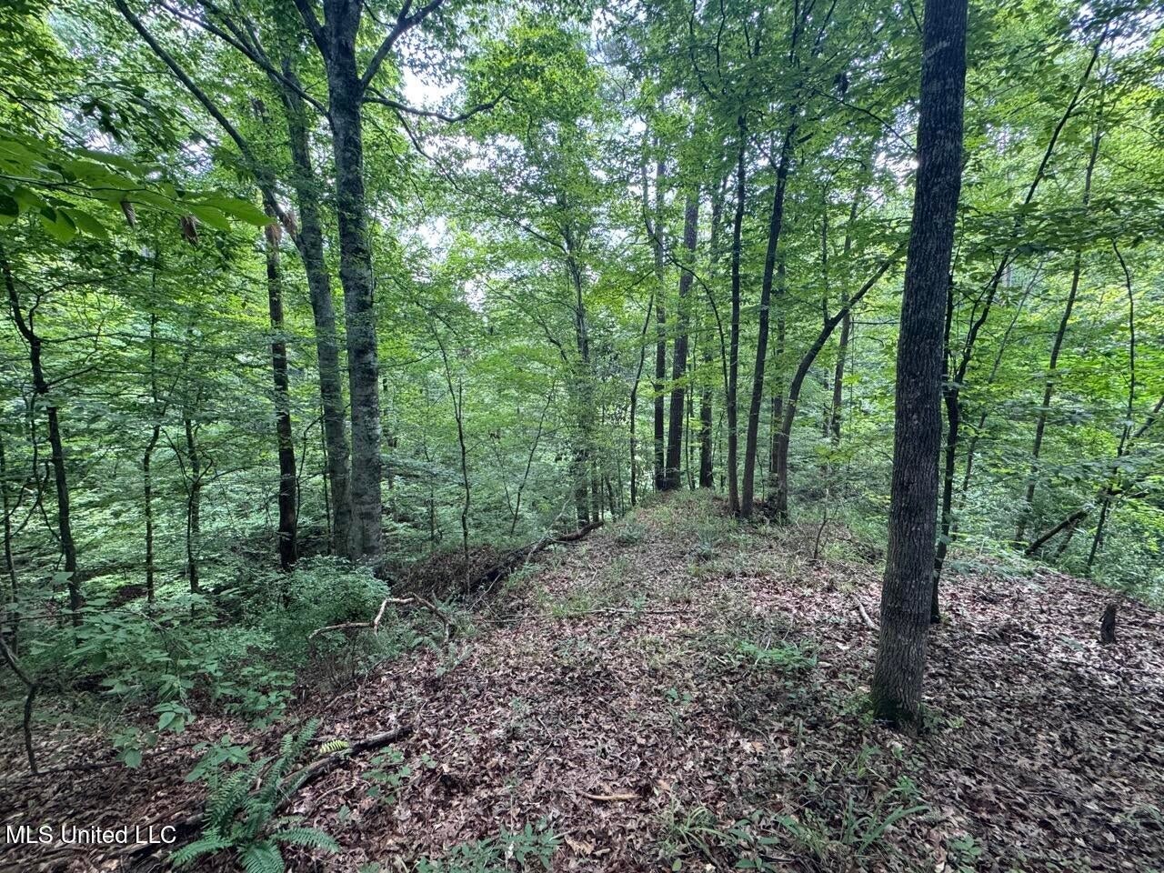 28+- Acres for Sale in Natchez, MS