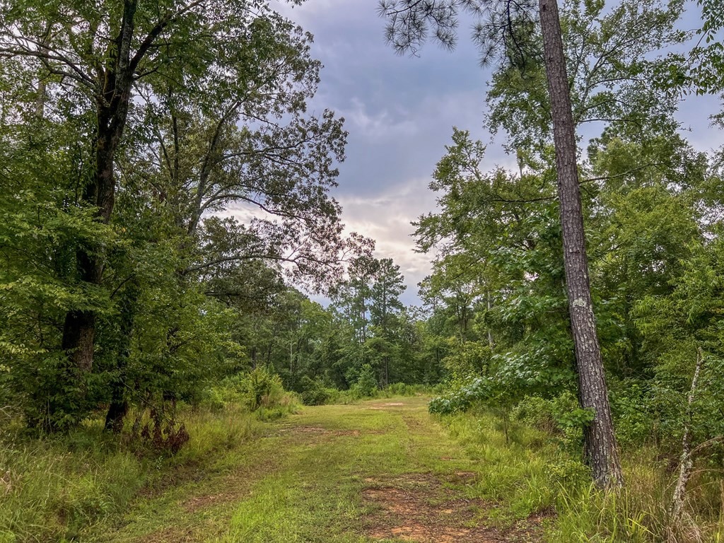 Hunting Land for Sale in Hinds County, MS